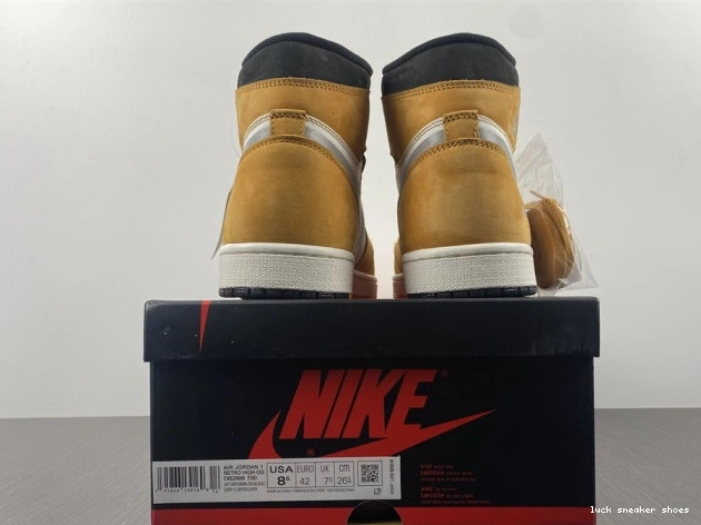Reps LUCY 1 High Element Jordan Gore-Tex Curry DB2889-700 Light 0823